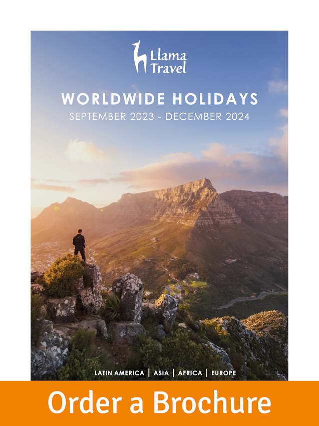 Worldwide brochure order button